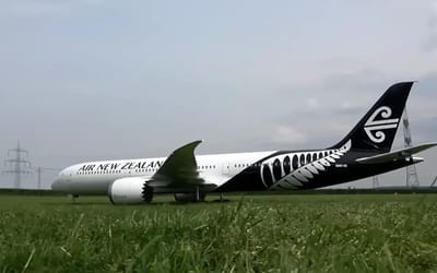 This American built a giant RC Boeing 787 but its airfield flight ended in sudden mishap