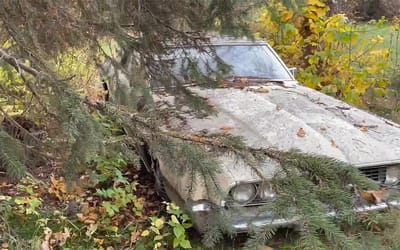 Man goes all out to rescue free Ford abandoned in woods for 30 years