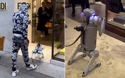 Video shows guy taking his robot dog on a shopping spree