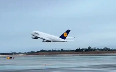 These viral videos from 2025 literally had us on the edge of our seats