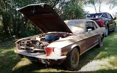 Rustiest 1967 Mustang that had been sitting in a barn for 25 years defies all odds despite rough condition