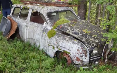 Man casually starts a Saab 95 after it had been rotting in a forest for 55 years
