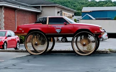 Man stumbles across an auto 'dinosaur in the wild' in Kentucky and instantly wants to take it home