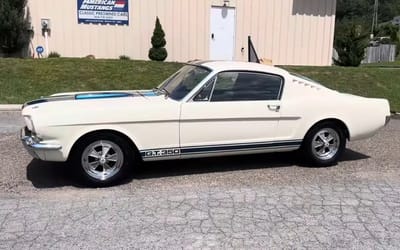 Stunning and rare Shelby Mustang GT350 found after 48 years