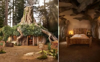 Shrek’s swamp house has just been recreated in real-life