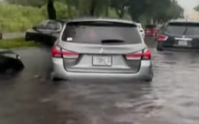 This is what happens to all the flood-damaged cars in Florida