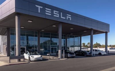 Tesla buyer praises 'phenomenal' purchase process, he's never experienced anything like it