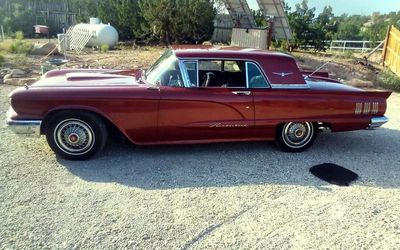 Low-mile Ford Thunderbird discovered among collection hit by Florida hurricane