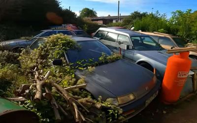 Man discovers abandoned garden jampacked with vintage cars