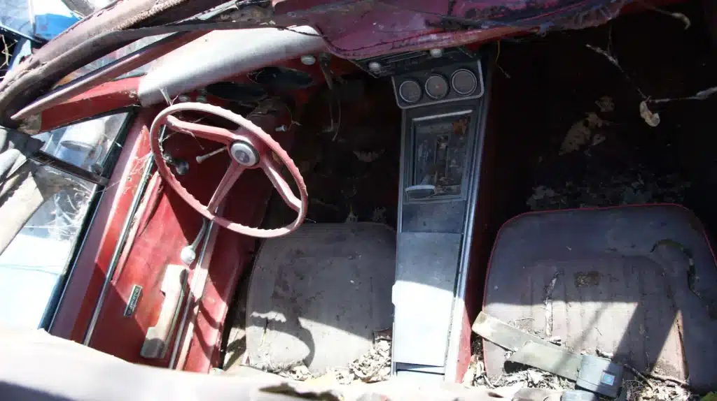 Junkyard in Detroit filled with Mustangs, GTOs and Corvettes