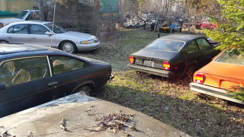 Junkyard in Detroit filled with Mustangs, GTOs and Corvettes