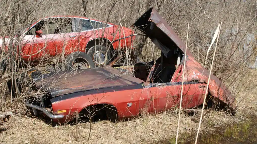 Junkyard in Detroit filled with Mustangs, GTOs and Corvettes