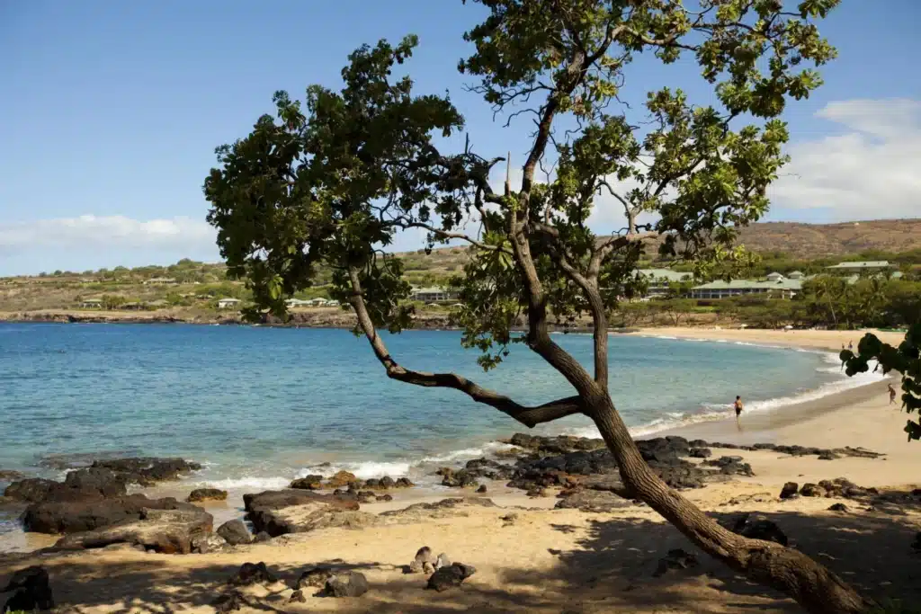 Billionaire has Tesla Supercharger on private island