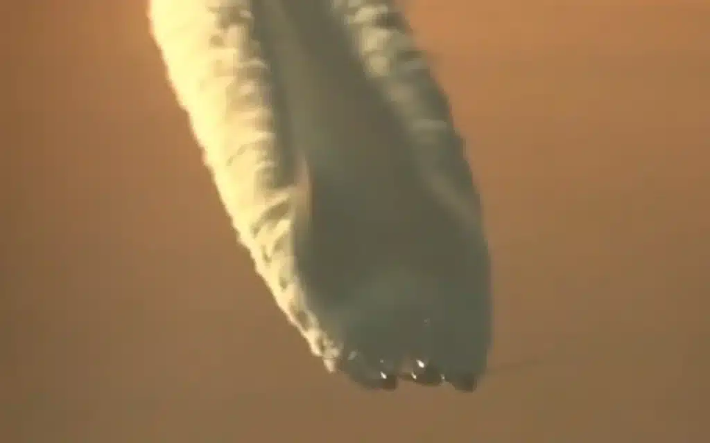 This video shows just how massive airplane contrails truly are