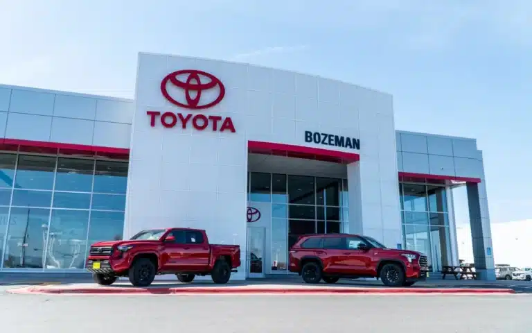 Toyota left this Georgia woman in an emotional state after responding to her TikTok campaign for a new car.