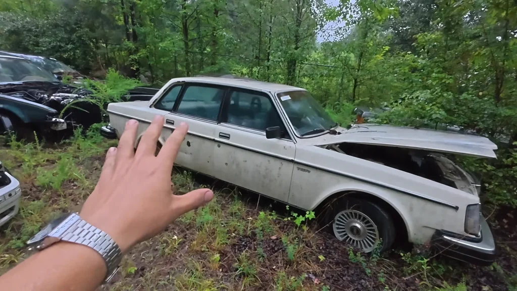 Man explores collection of over 200 abandoned cars and finds 10 that are incredibly special and urgently need saving