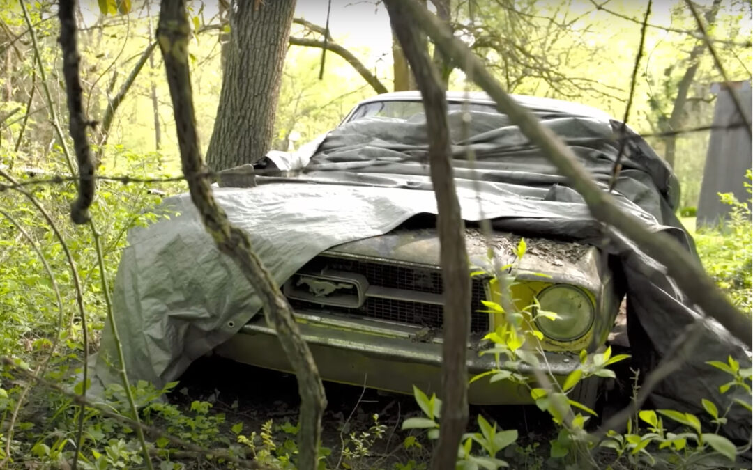Watch 1967 Ford Mustang get pulled from a swamp after 28 years