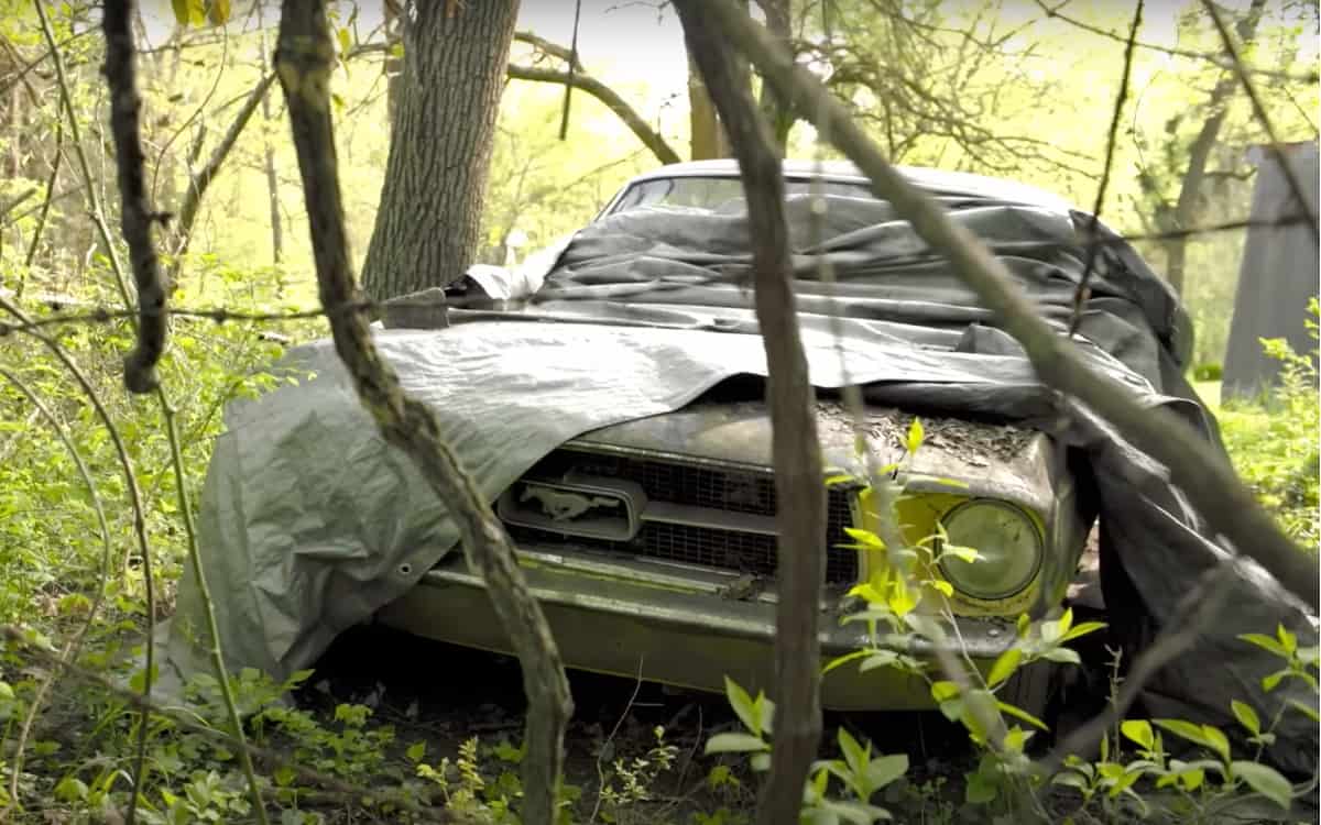 1967 Ford Mustang swamp restoration