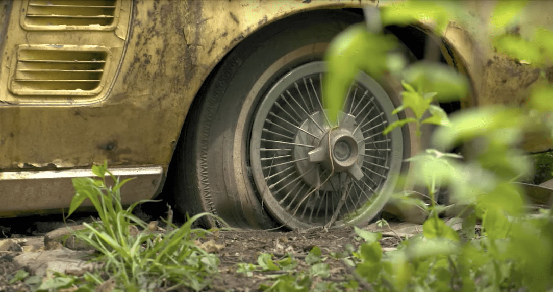 1967 Ford Mustang swamp restoration