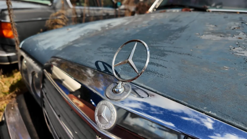 US man buys 200 abandoned cars from South Carolina off Facebook Marketplace and he's left with a decision to make