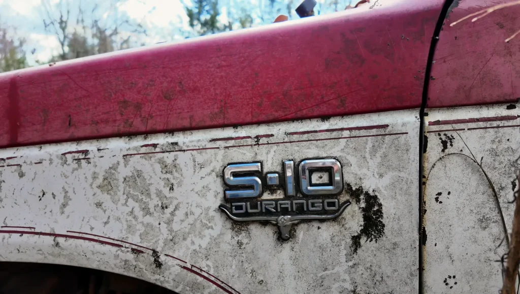 US man buys 200 abandoned cars from South Carolina off Facebook Marketplace and he's left with a decision to make