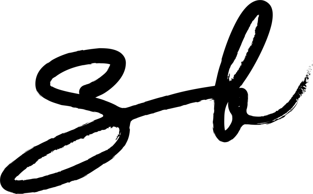 SB logo in black
