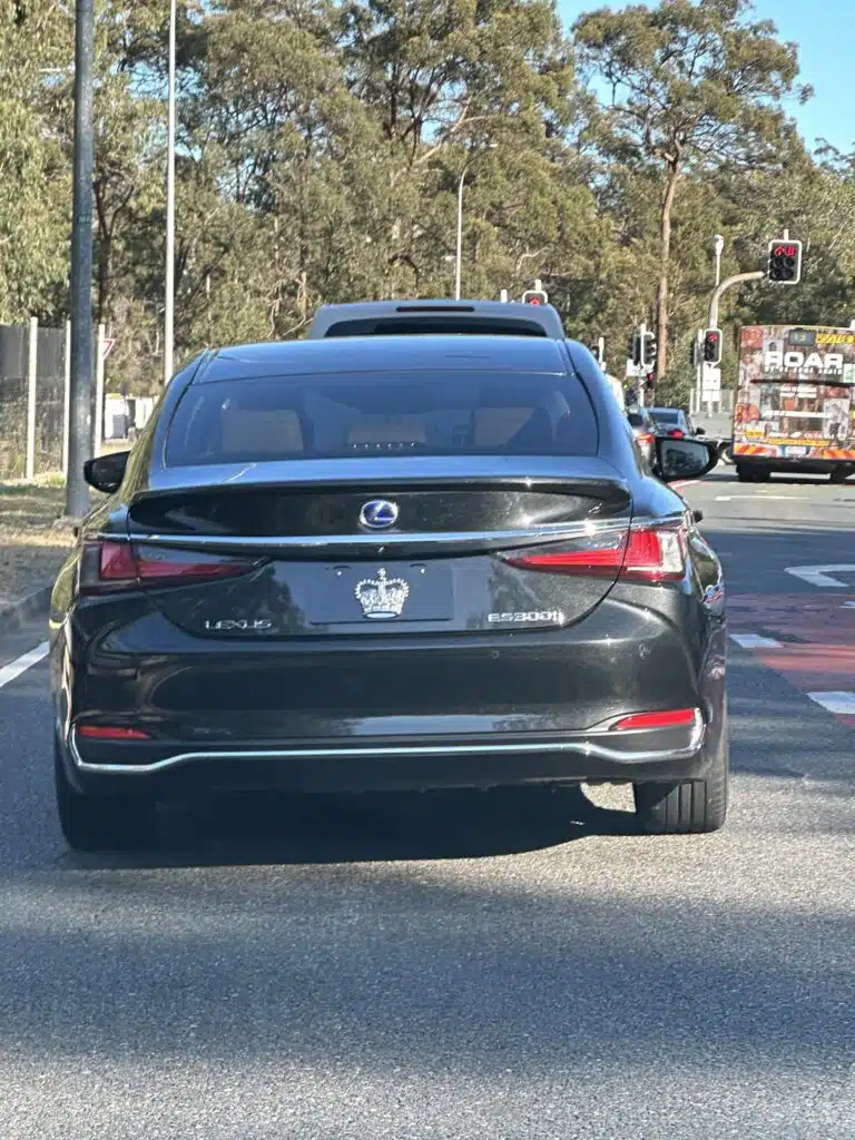 License plate reported for having no letters or numbers is highly significant