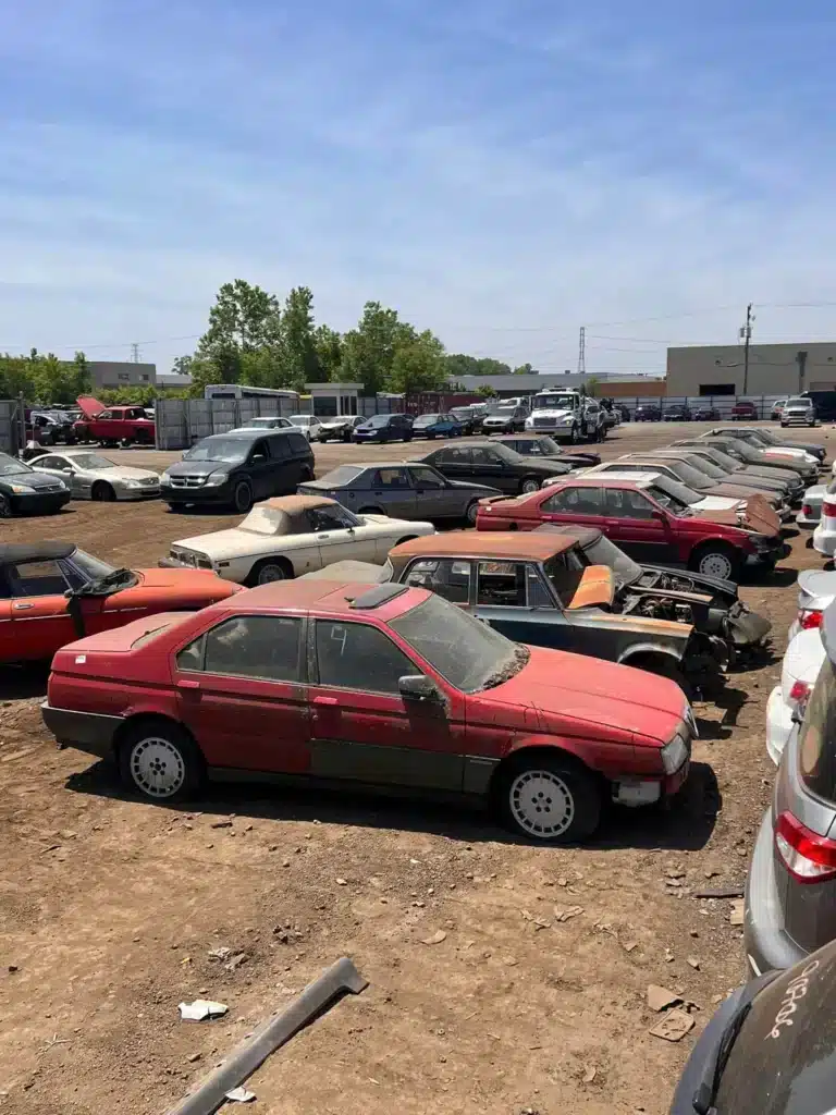 Man has to scrap dozens of Alfa Romeo cars from junkyard
