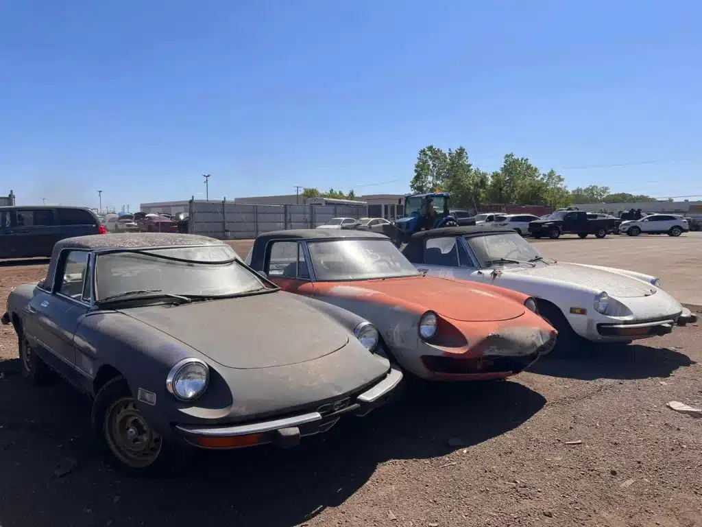 Man has to scrap dozens of Alfa Romeo cars from junkyard