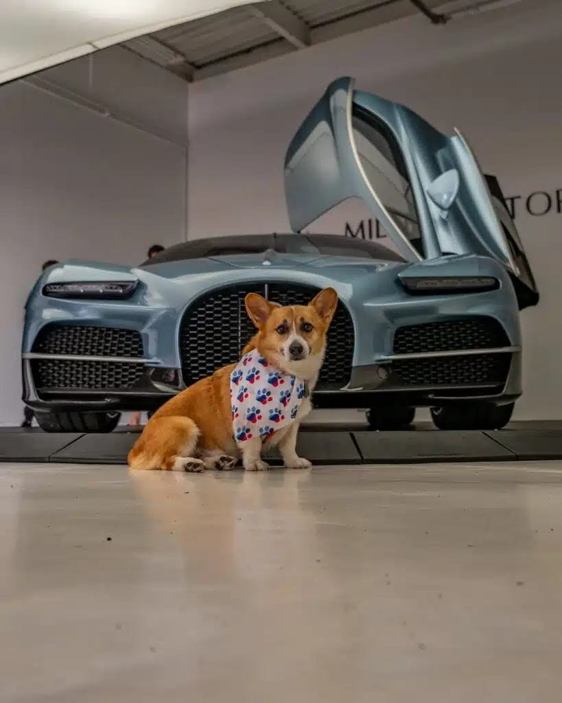 Incredibly cute puppy has become the most unlikely but much needed supercar model