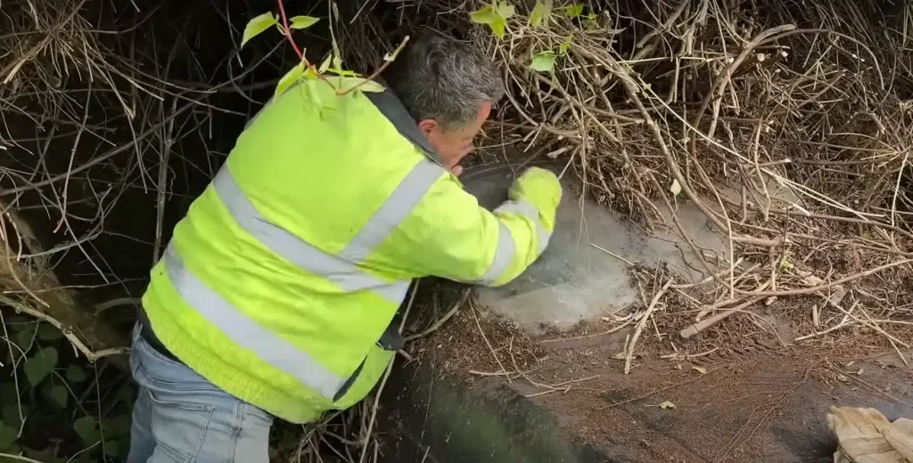 A couple in the UK cut back an overgrown hedge and uncovered an extremely rare sports car that most people may not even know