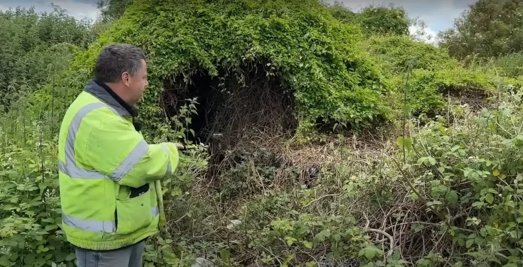A couple in the UK cut back an overgrown hedge and uncovered an extremely rare sports car that most people may not even know