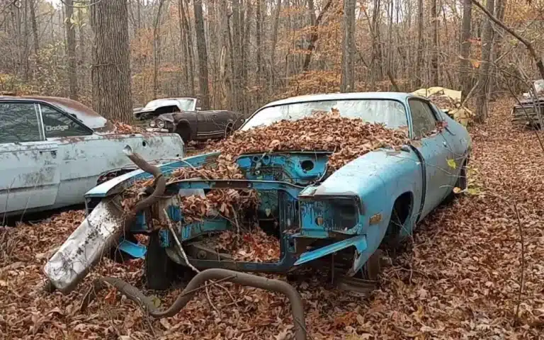 Stash of mopars found in woods