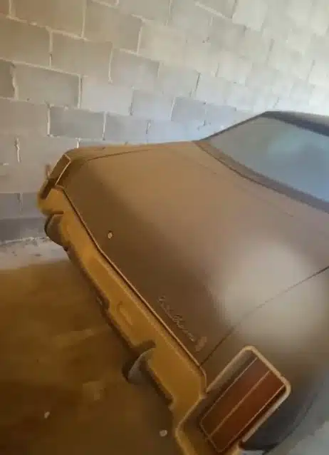 Illinois man finds abandoned American car from 1973, tracks down owner of the Oldsmobile Cutlass