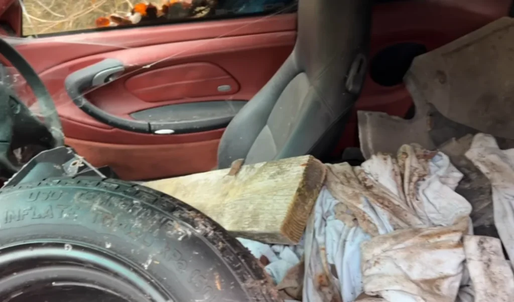 Man explores 'time capsule' abandoned mansion that still has cars in the bushes, including a Porsche 911 Carrera 4