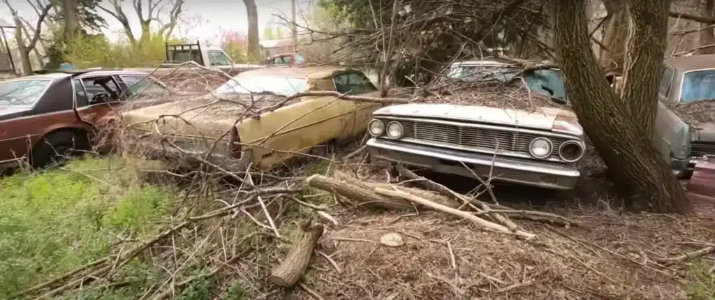 American man bought an abandoned farm and while cleaning it up discovers all the classic cars left there