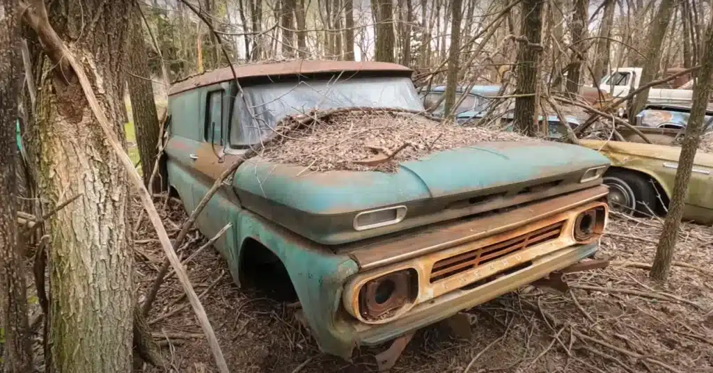 American man bought an abandoned farm and while cleaning it up discovers all the classic cars left there