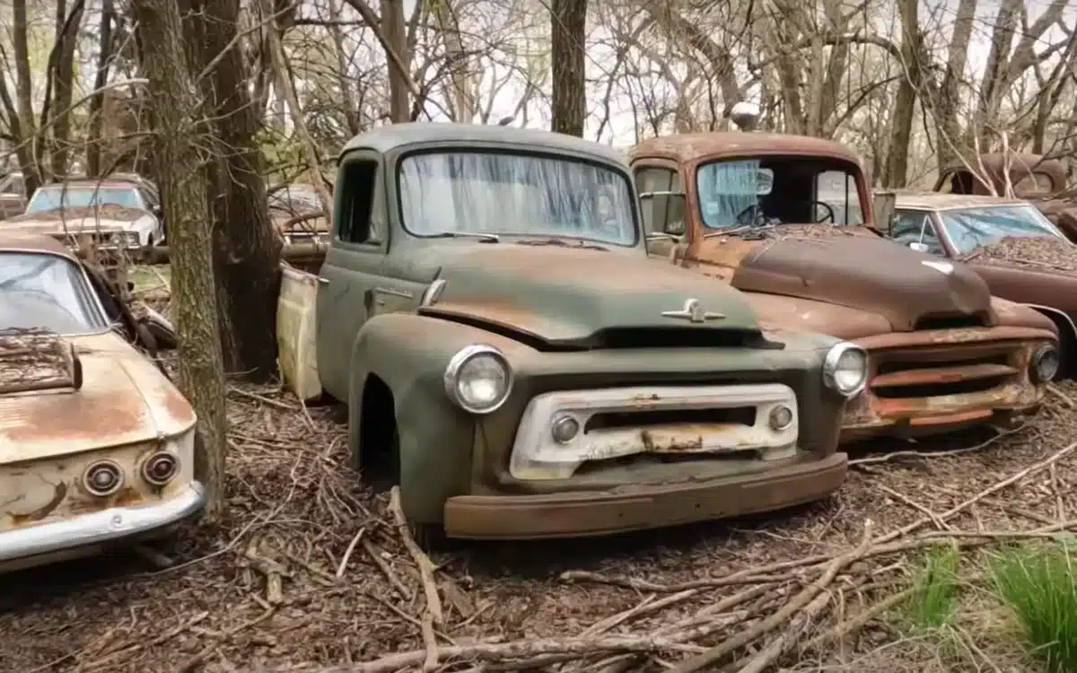 American man bought an abandoned farm and while cleaning it up discovers all the classic cars left there