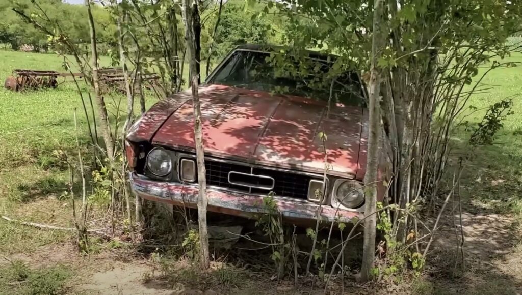 Ford Mustang Abandoned