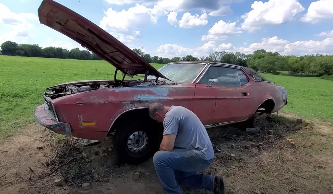 Mustang abandoned in cow field for 30 years - will it run?