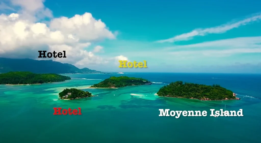 Man bought an abandoned island for $11,000 to plant 16,000 trees and bring endangered species back, refusing to sell despite being offered $50M