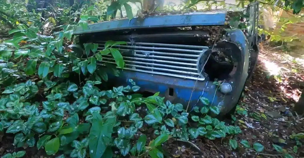 Man discovers abandoned property hidden from civilization that's littered with crumbling classics
