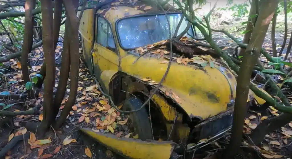 Man discovers abandoned property hidden from civilization that's littered with crumbling classics