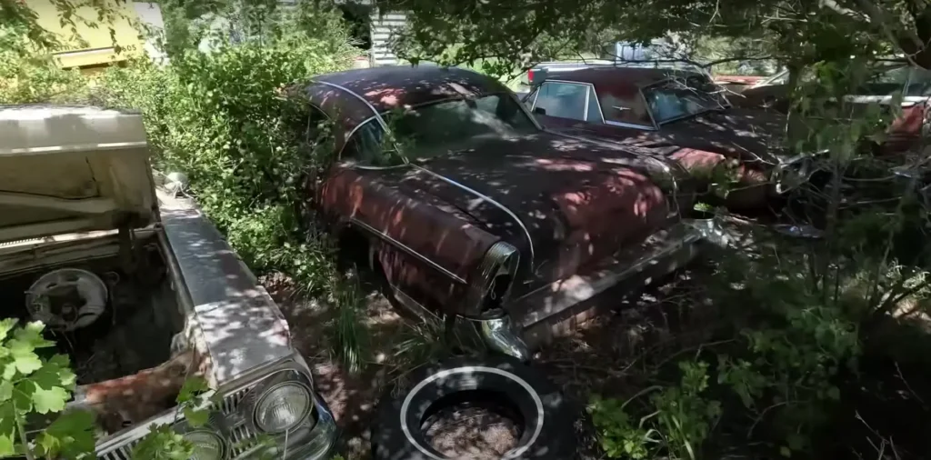 Abandoned classic cars