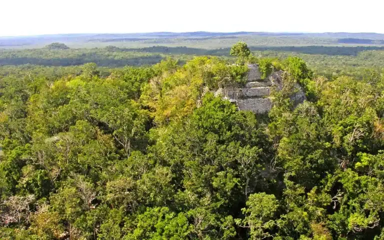 Ancient Mayan city impossible to find has been discovered in jungle