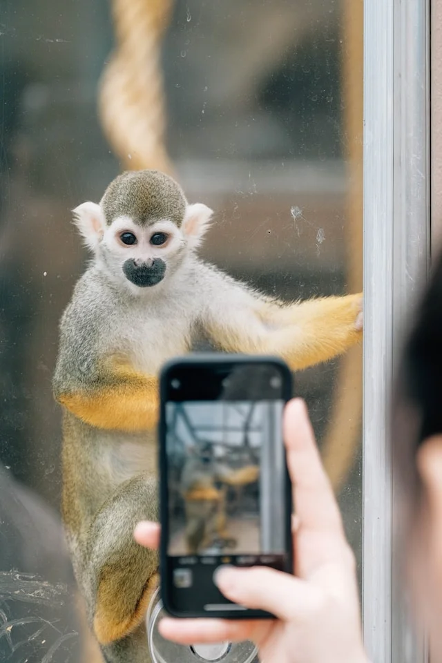 Your iPhone is ruining the audio of any video you record with it and this is how you fix it
