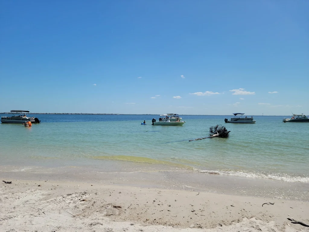 Four friends who bought deserted Florida island for $63.5K and transformed into a paradise worth $14M share how much money Beer Can Island has made them