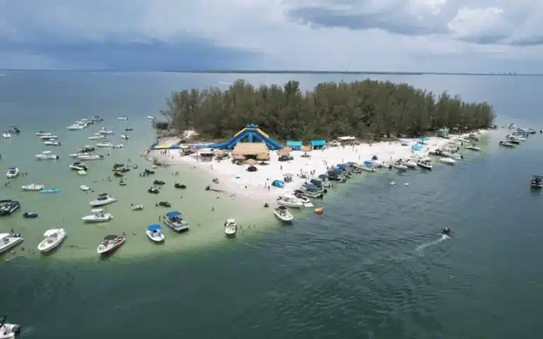 'Beer Can Island' has turned four friends into millionaires after they chipped in to buy the deserted Florida island for just $65,000