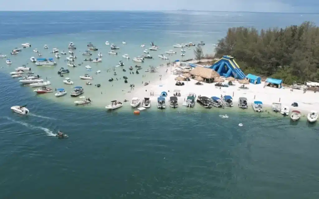 'Beer Can Island' has turned four friends into millionaires after they chipped in to buy the deserted Florida island for just $65,000