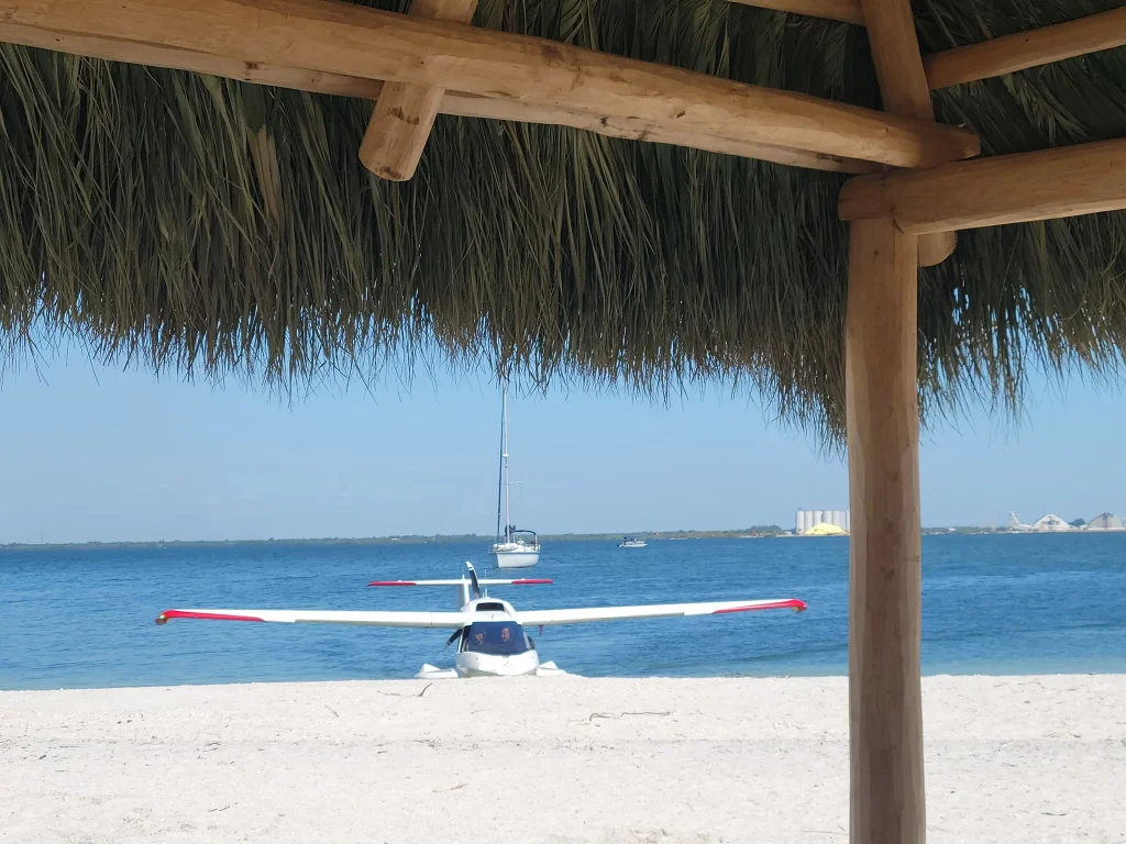 Four friends who bought deserted Florida island for $65,000 reveal why they turned down $10 million offers